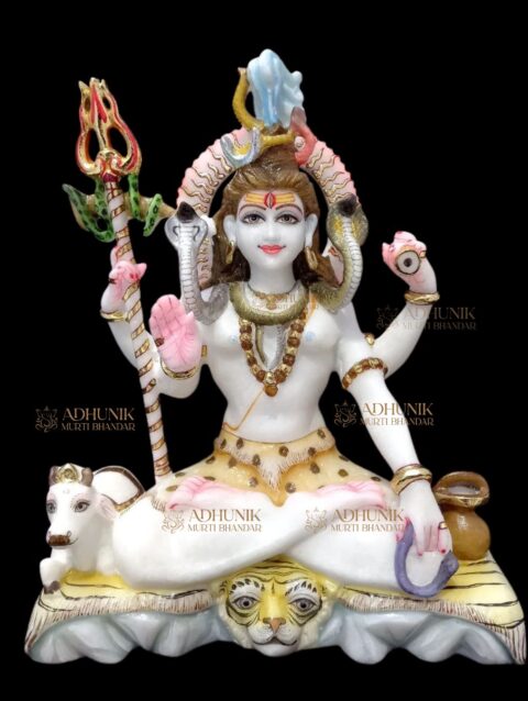 shiv shiva shivji mahadev